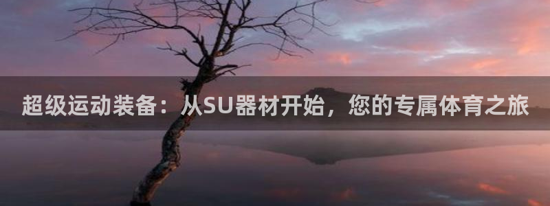 海南k1体育官网下载发展怎么样：超级运动装备：从SU