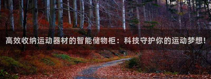 k1体育官方正版app娱乐40996：高效收纳运动器材的智能
