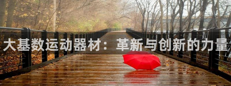 k1体育官网下载招商电话号码：大基数运动器材：革新与创新的力