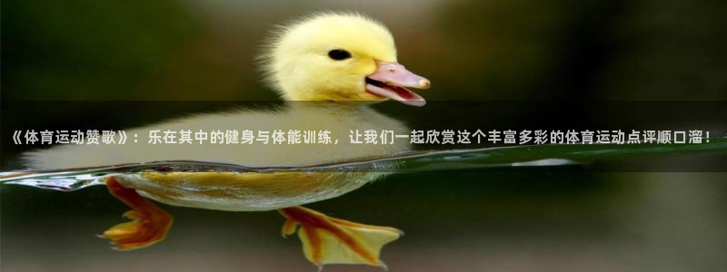 中欧体育kok官网首页：《体育运动赞歌》：乐在其中的健身与体能训练，让我们一起欣赏这个丰富多彩的体育运动点评顺口溜！