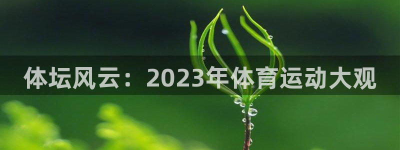 kok中欧体育登录：体坛风云：2023年体育运动大观