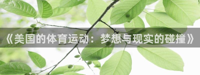 中欧体育kok官网首页：《美国的体育运动：梦想与现实的碰撞》