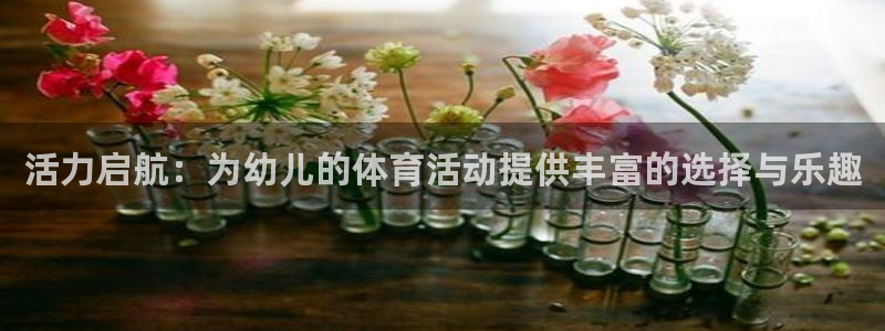 kok中欧体育登录：活力启航：为幼儿的体育活动提供丰富的选择与乐趣