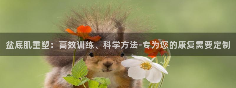 k1体育官网下载招商电话号码：盆底肌重塑：高效训练、科学方法