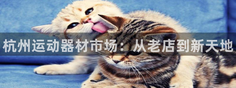 k1体育官方正版app娱乐平台：杭州运动器材市场：从老店到新