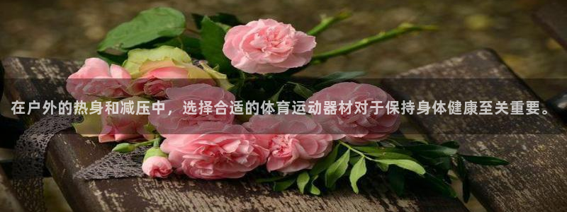 k1体育官方正版app娱乐是那个系列的台子：在户外的热身和减