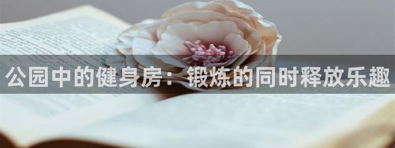 k1体育官网下载联系电话：公园中的健身房：锻炼的同时